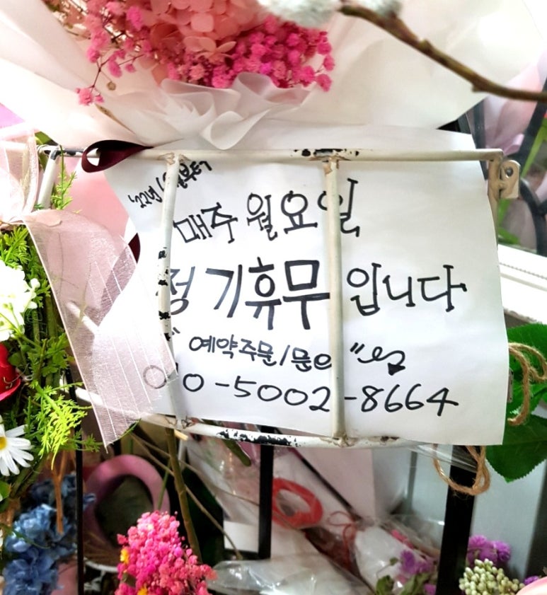 태양화원 이미지