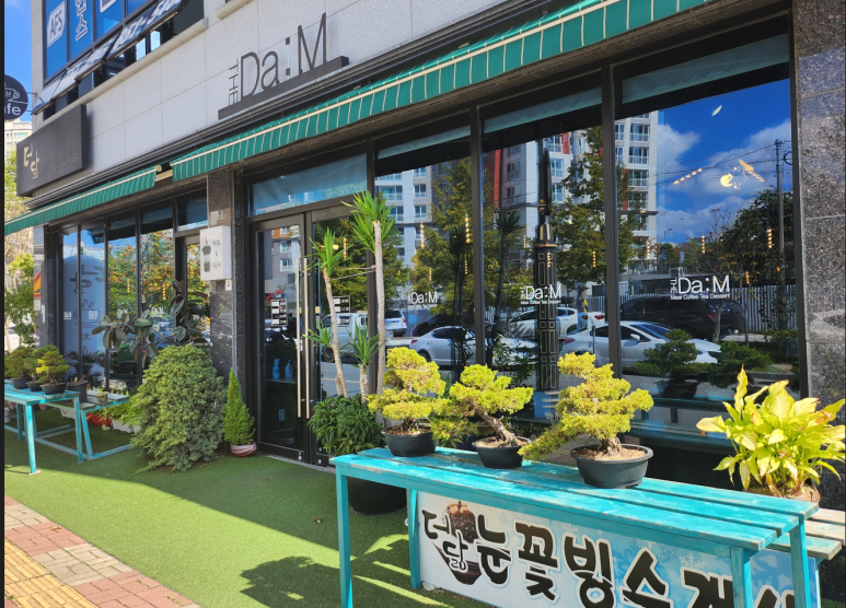 더닮 이미지