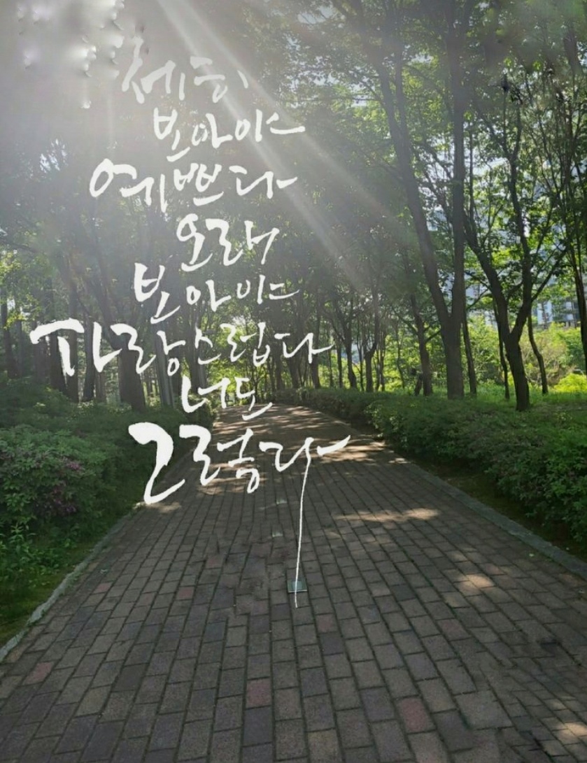주식회사 해복 이미지
