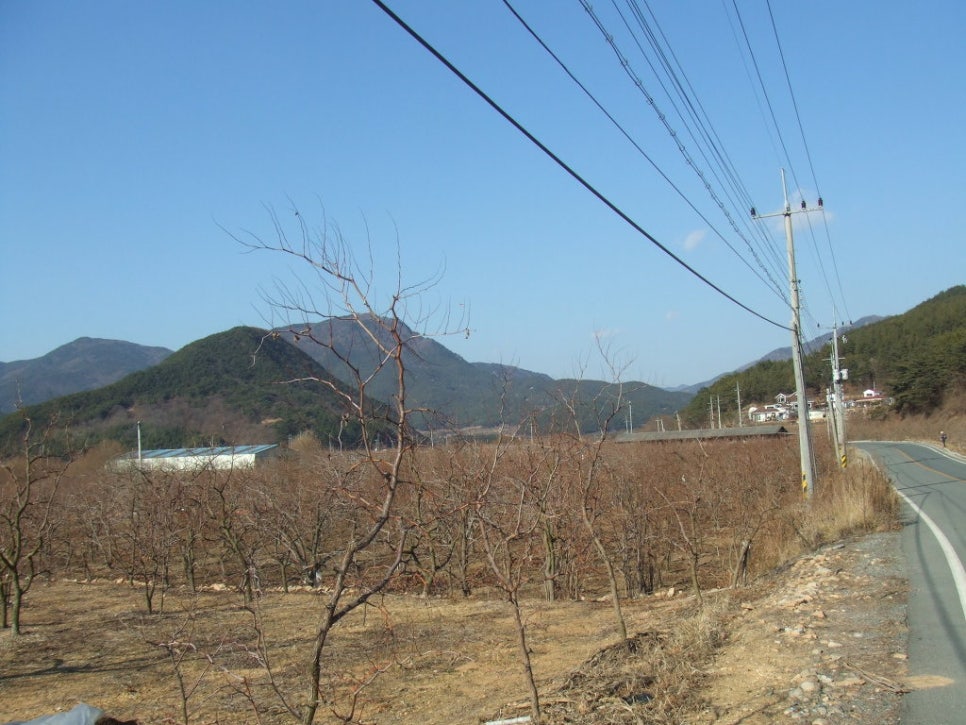 동문사 이미지