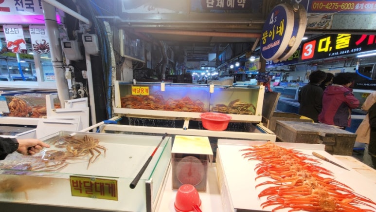 뚱이네수산 이미지
