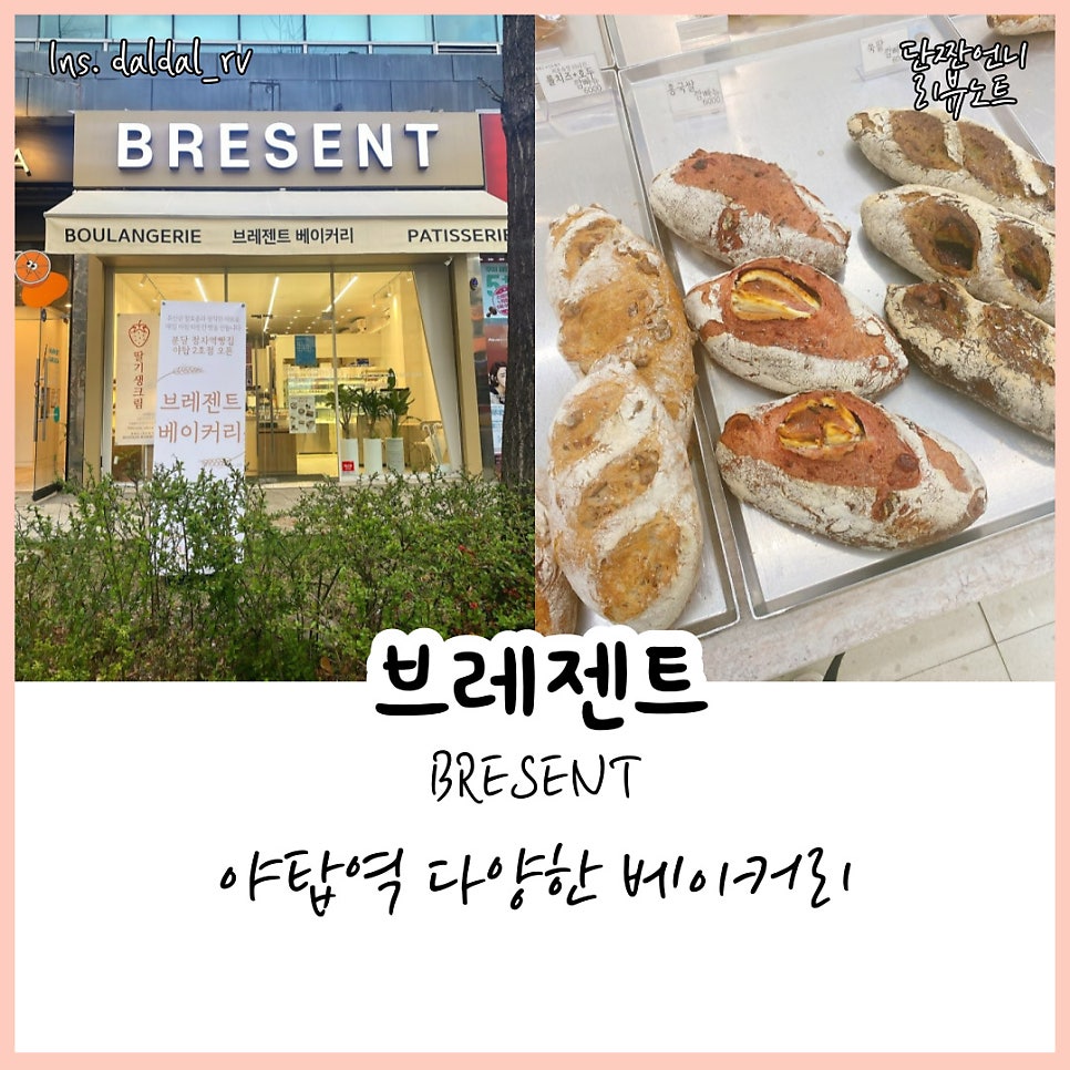 브레젠트(BRESENT) 이미지