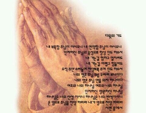 하늘과열매(주) 이미지