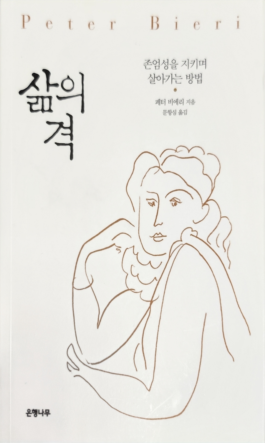 마그테 이미지