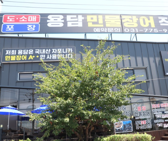 데일리장어 이미지