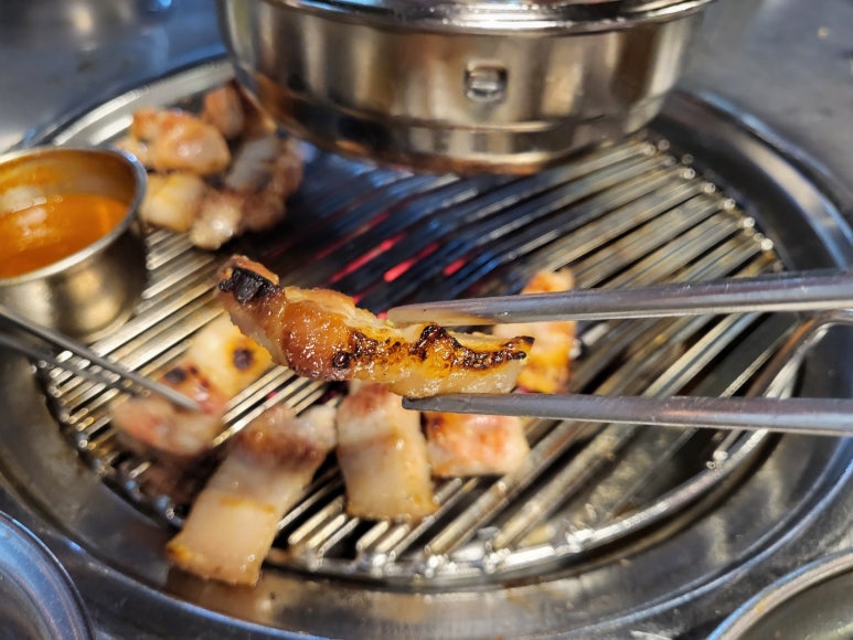 팔팔돼지(88돼지) 이미지