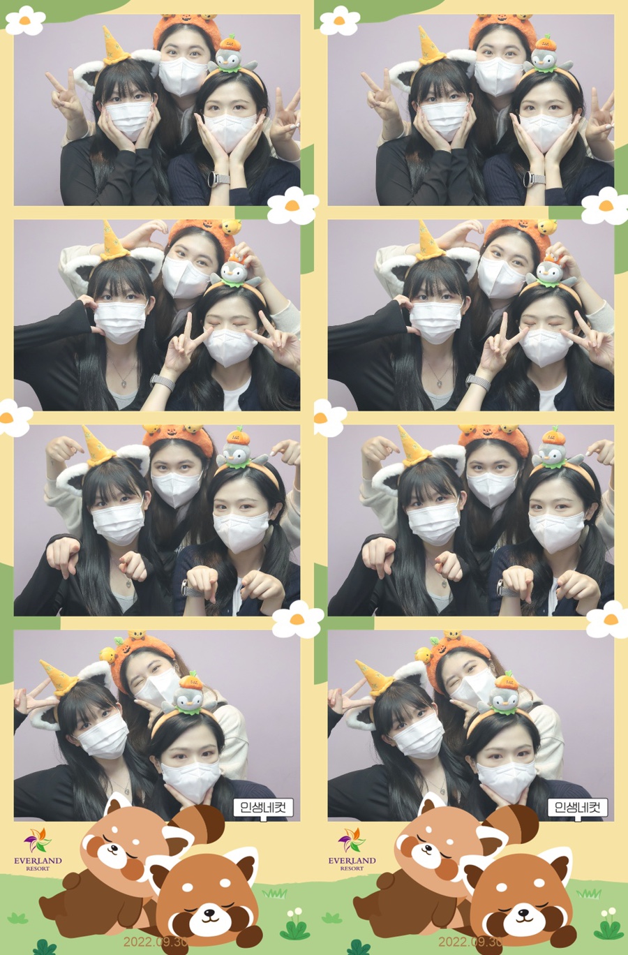 축제의땅 이미지