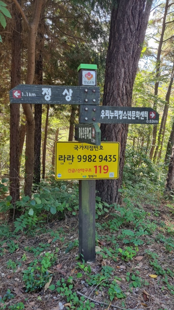 팔룡초등학교 이미지