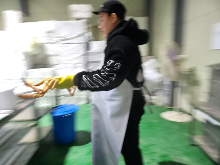 킹콩씨푸드 이미지