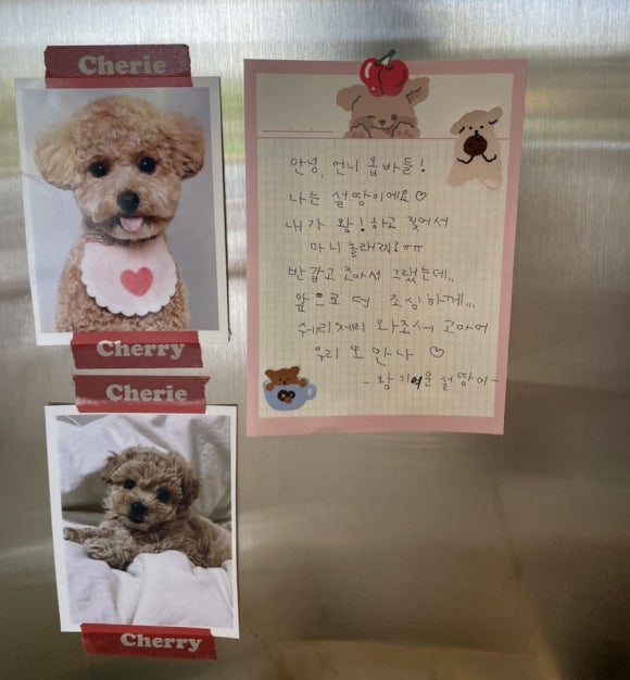 쉐리체리(cherie cherry) 이미지