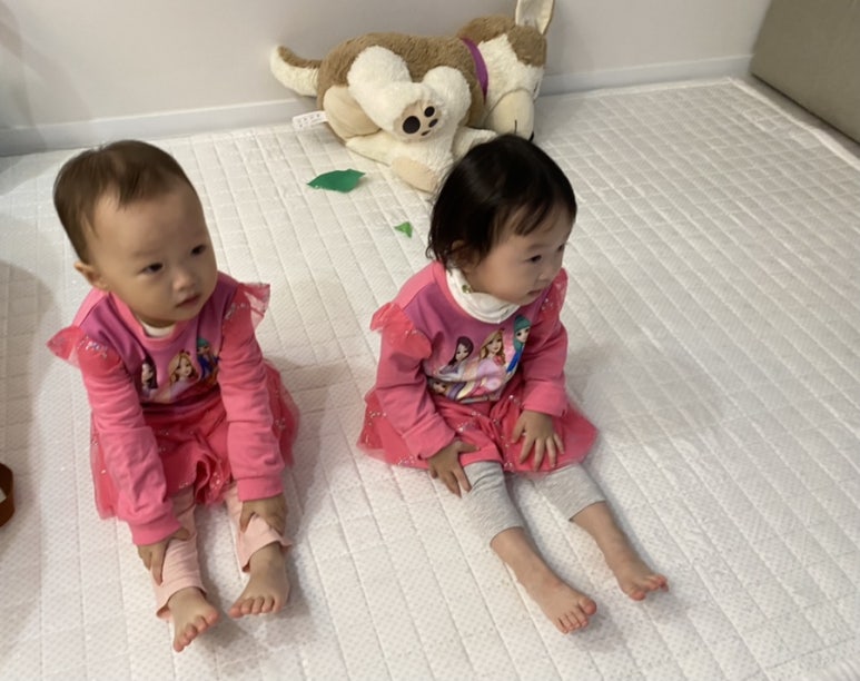 꼬물상 이미지