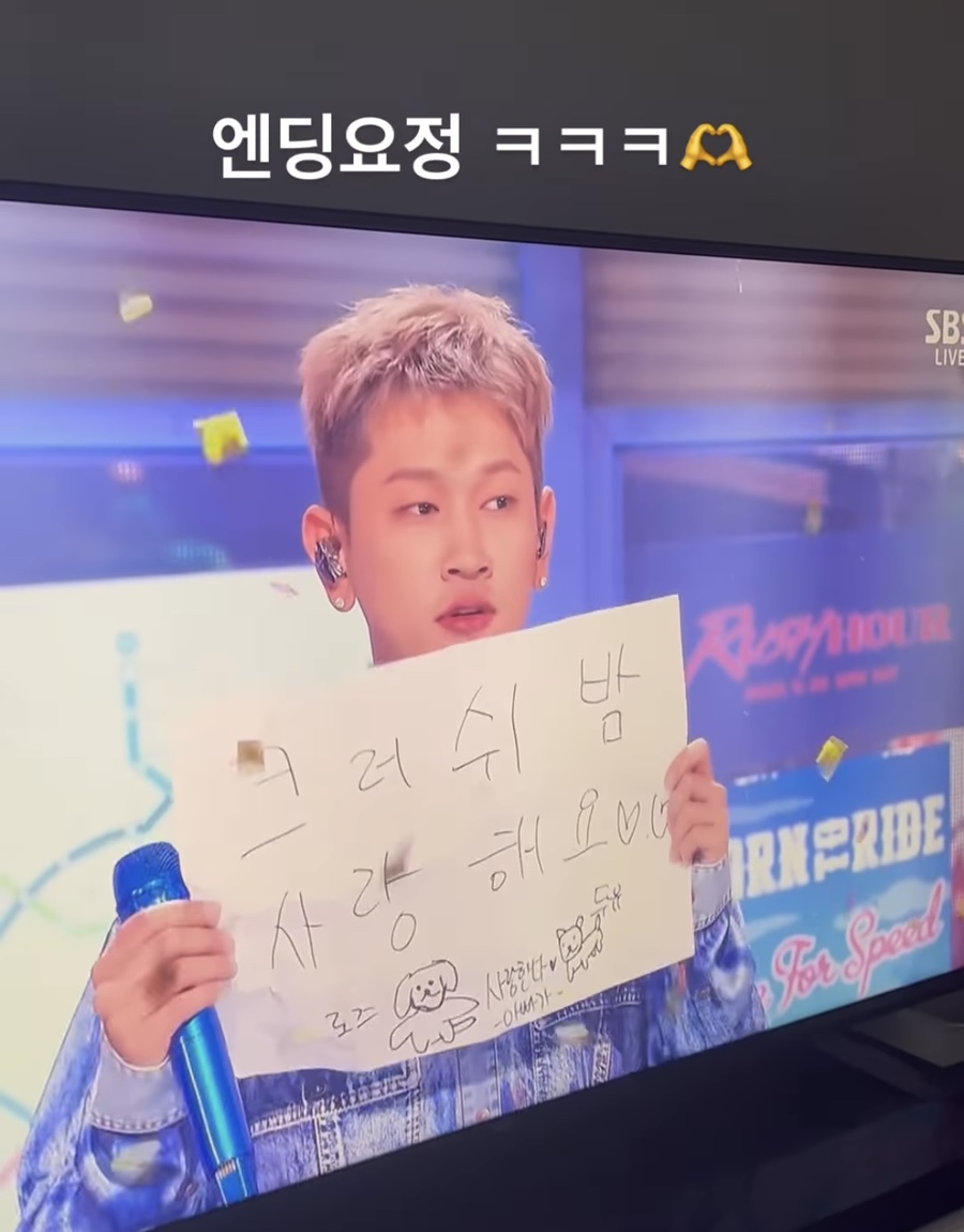 플레로마 이미지