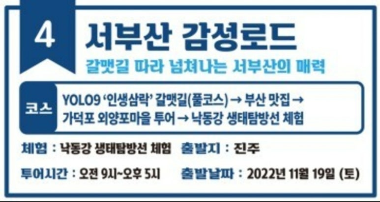욜로왕 이미지