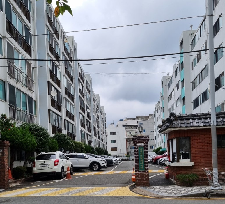 반도보라마트 이미지