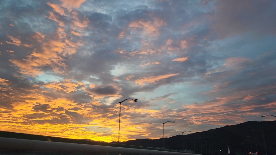 청옥야영장 이미지