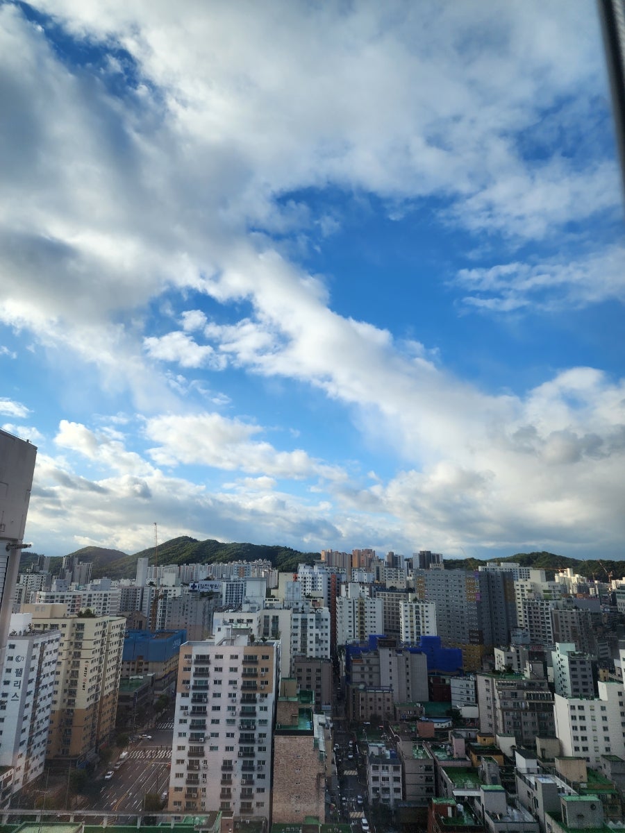 핏제리아칸니끄 이미지