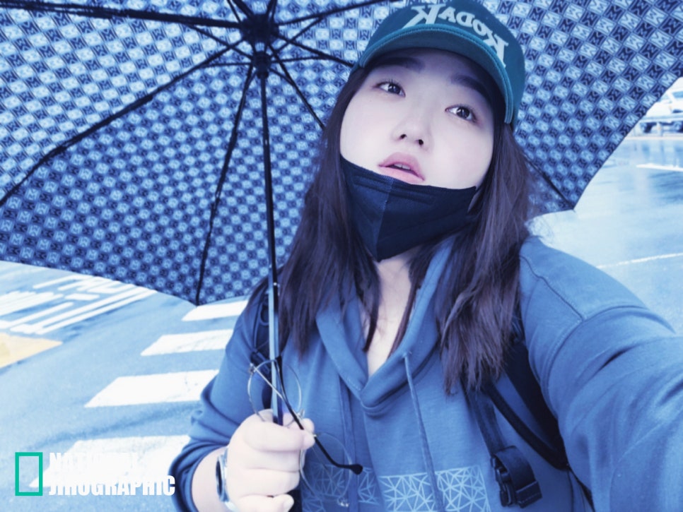 비디엠티 이미지