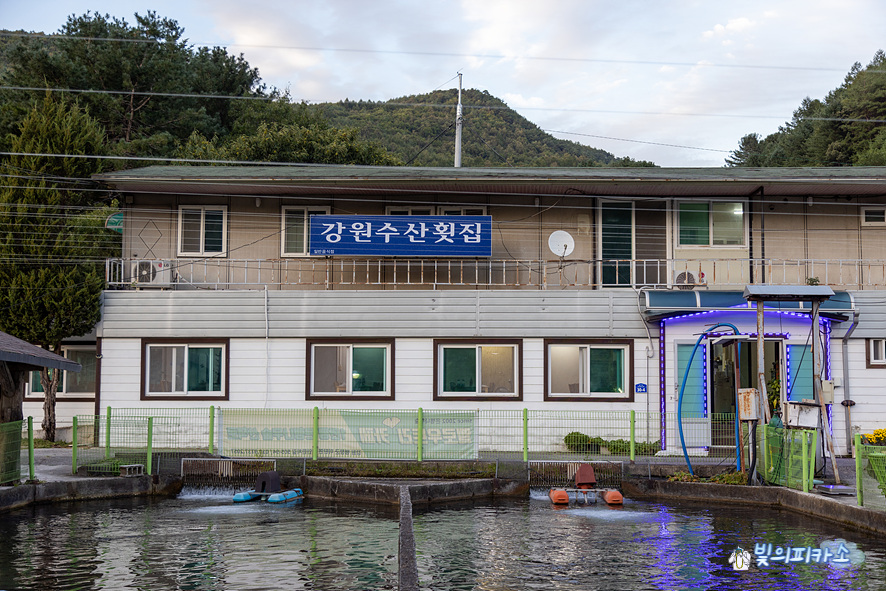 강원수산 이미지