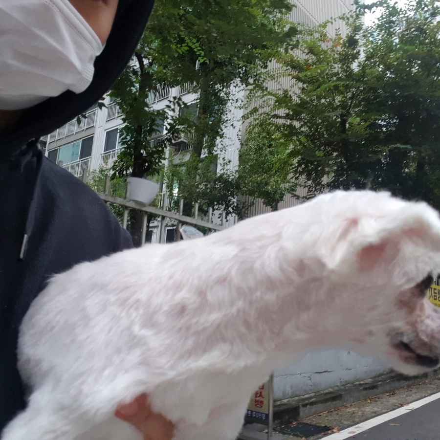 차니애드 이미지