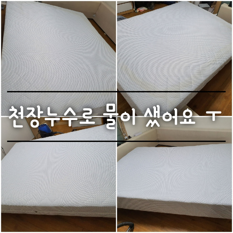 토탈홈케어 이미지