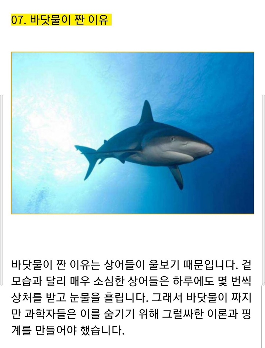 은미마켓 이미지