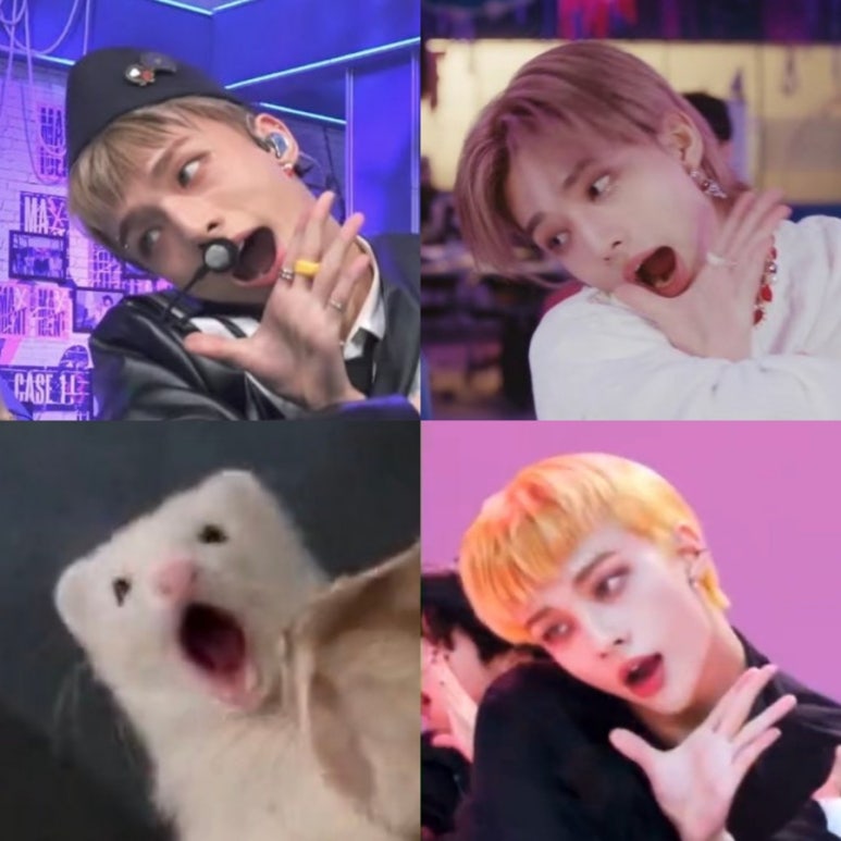 쩨리네 이미지