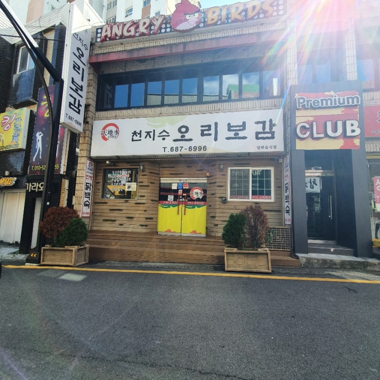 천지수오리보감 이미지
