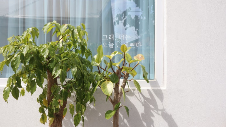 칠포항펜션 이미지