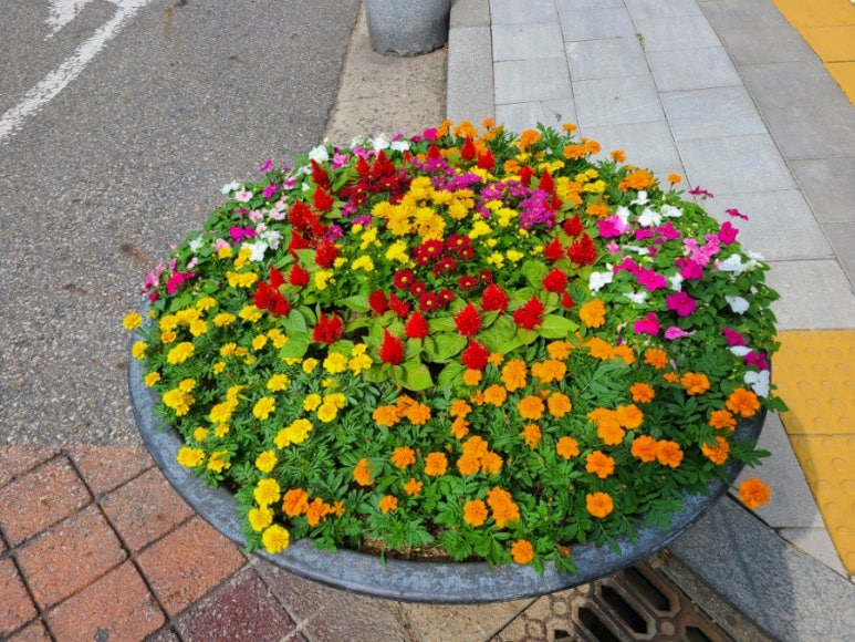 (주)브레댄코 이미지