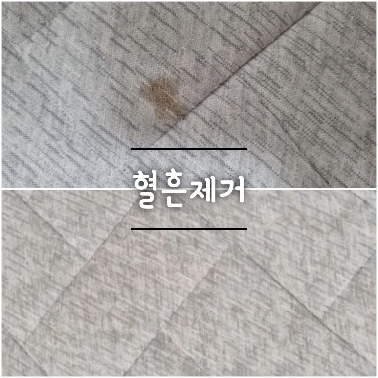 토탈홈케어 이미지