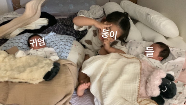 육일분식 이미지