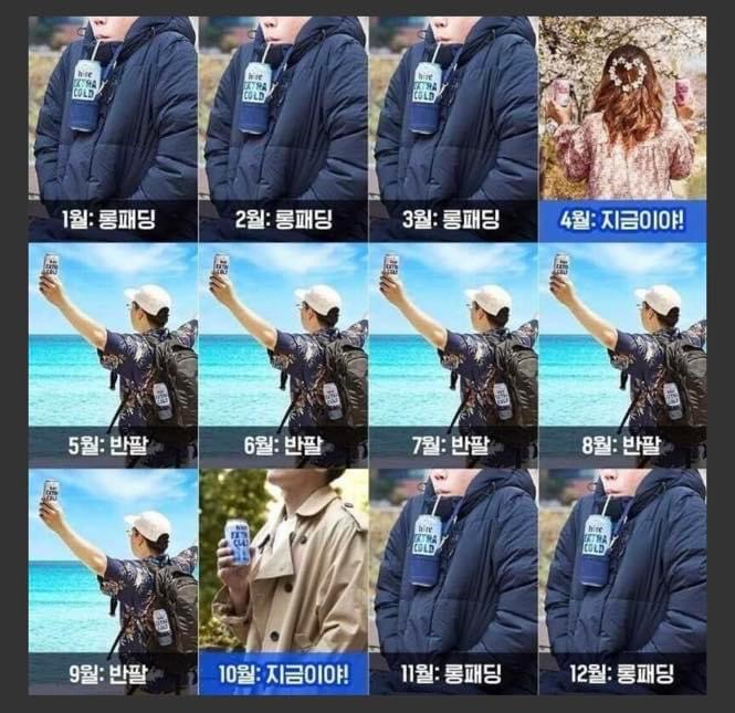 꽃피는청춘주 이미지