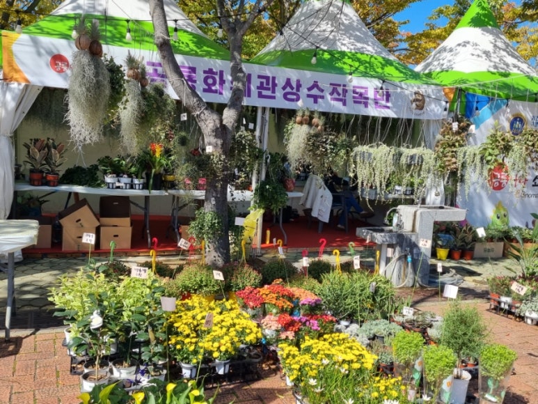 솔태배기 농원 이미지