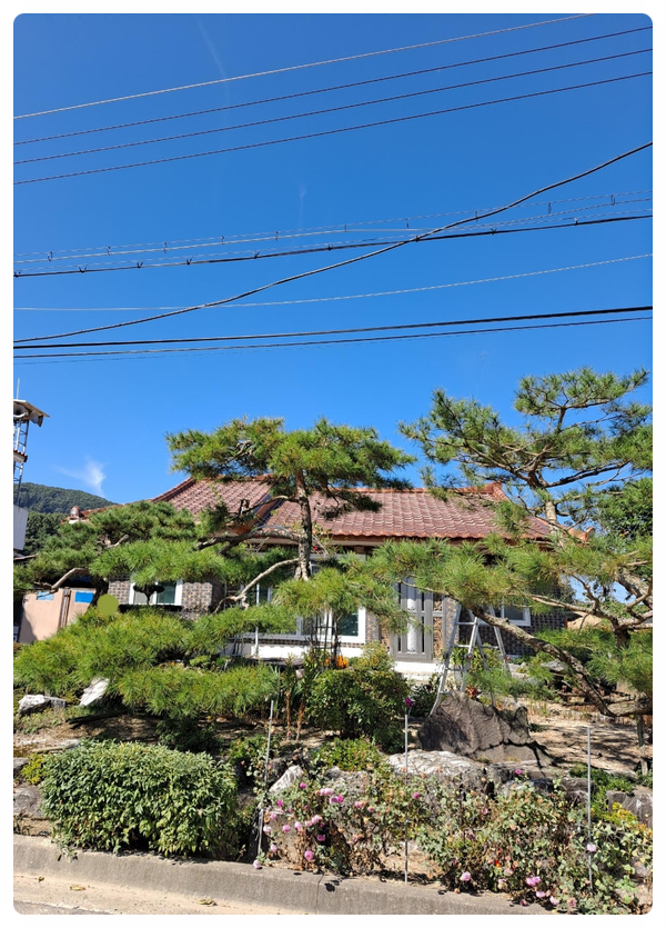 현대칼라사장 이미지