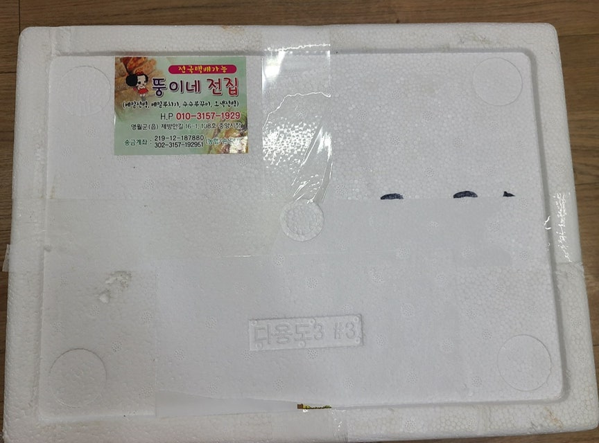 뚱이네전집 이미지