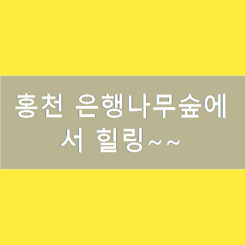 은지시스템 이미지