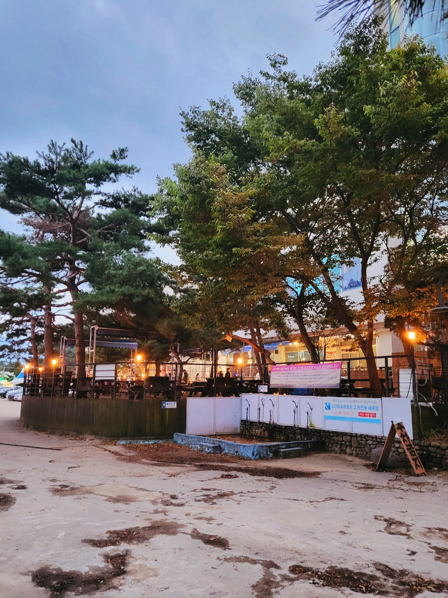 머물다삼포 이미지