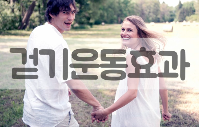 모벤스피트니스YNC 이미지