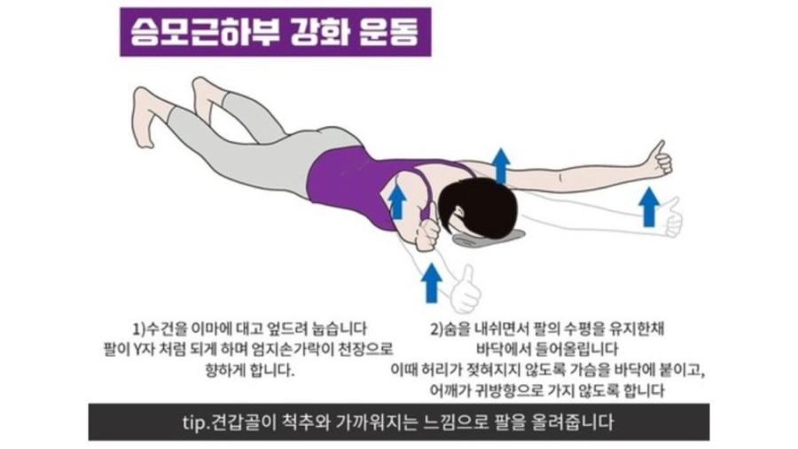 토니바디PT& 이미지