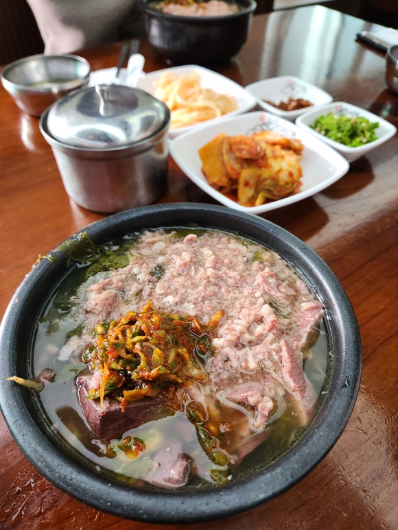 비타푸즈 이미지