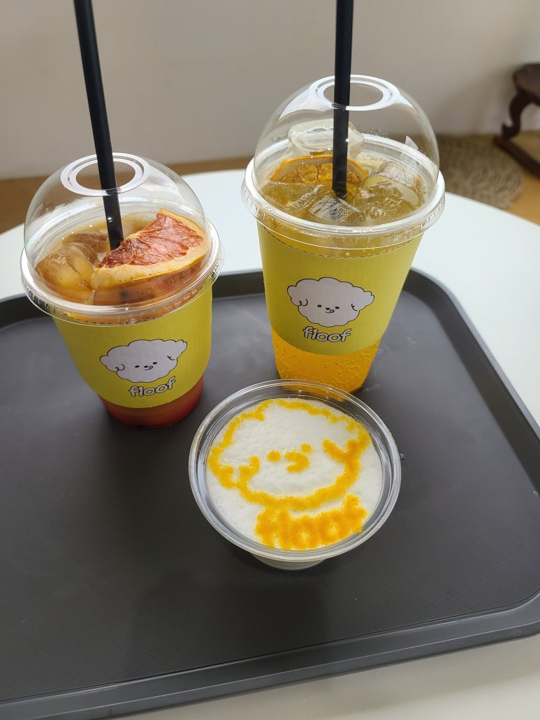 플루프 이미지