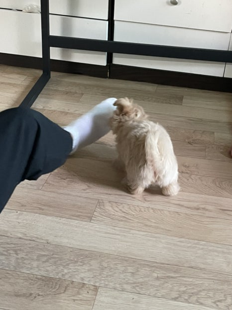 장가네홍천한우 이미지