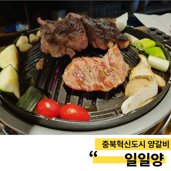 일일양충북 이미지