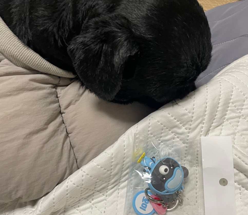 (주)에그필드 이미지