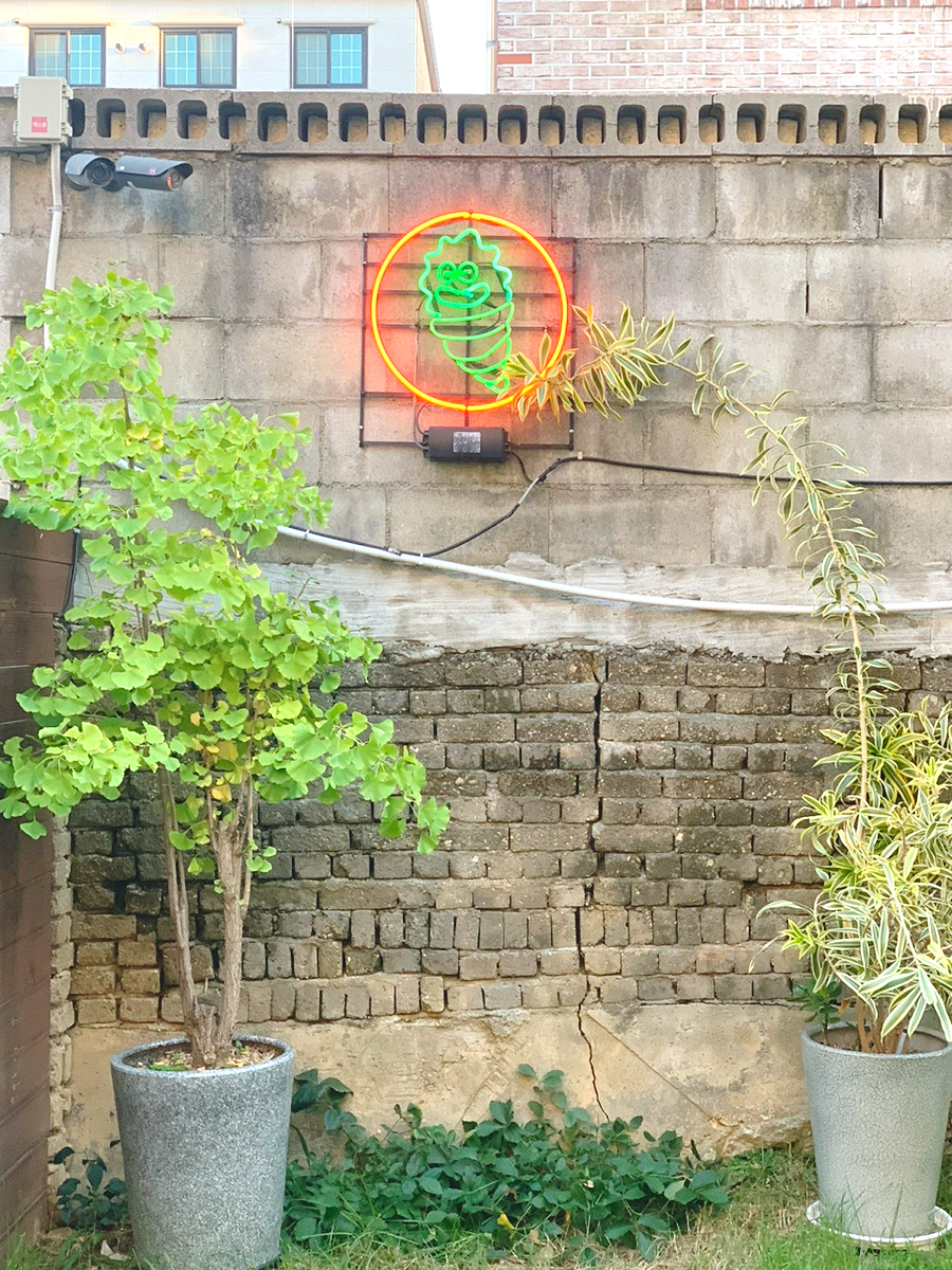 아노코히 이미지