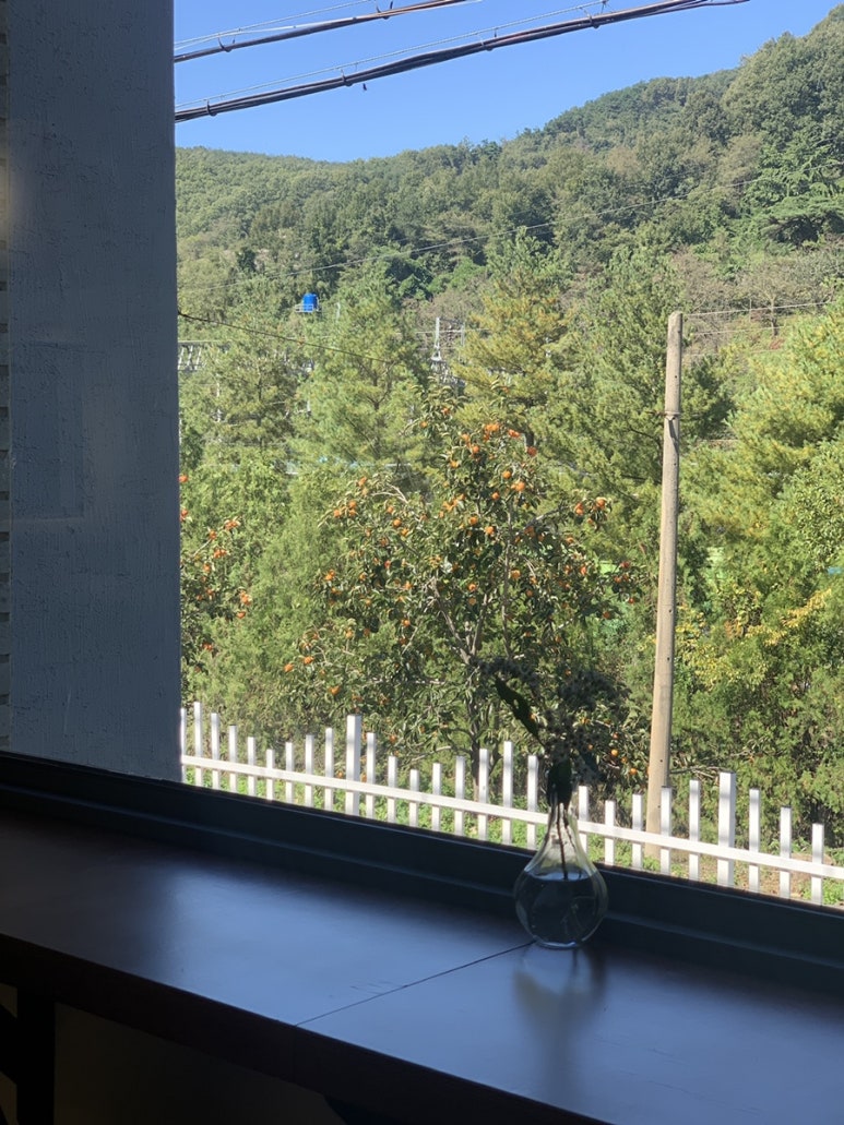 카페다로리 이미지