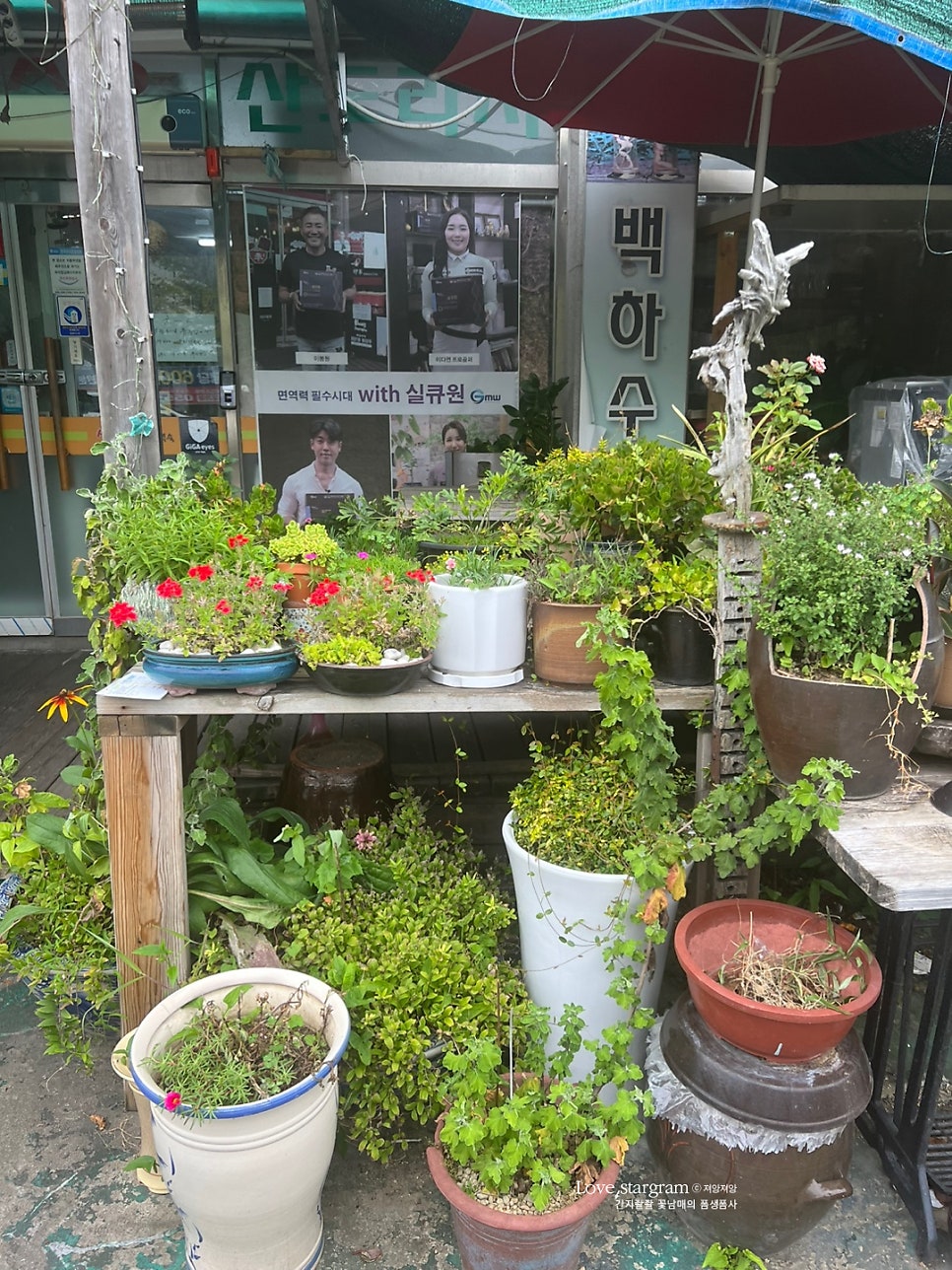 산야초한방백숙 이미지