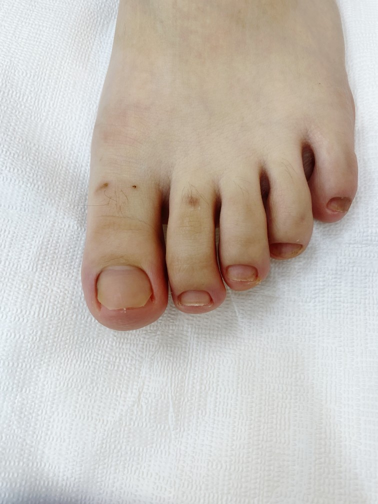 레푸스진주대안점 이미지