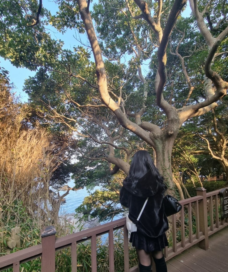 헤어by안나 이미지