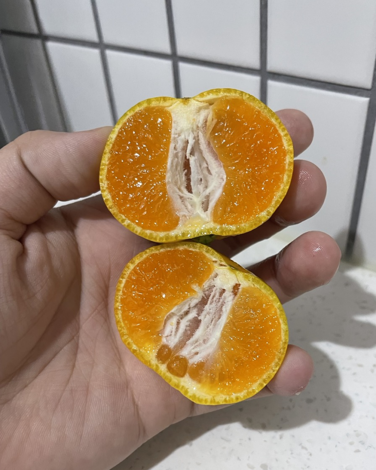 우리동네채소과일 이미지
